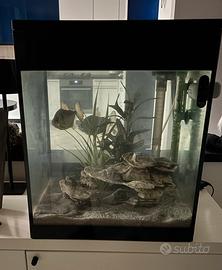 ACQUARIO ASKOLL PURE MEDIUM CUBE