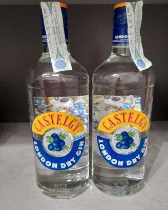 due bottiglie di gin dry london 