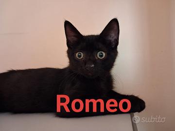 Romeo