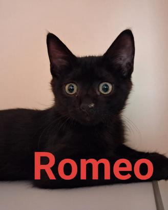 Romeo