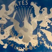 Franco Angeli - "half dollar"