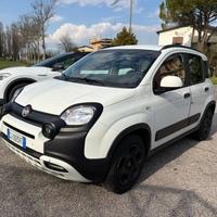 FIAT Panda Cross 1.0 FireFly S&S Hybrid