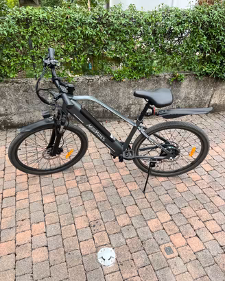 Bicicletta elettrica 