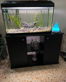 Acquario