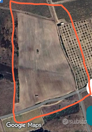 Donori terreno agricolo 4 ettari