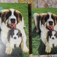 Puzzle San Bernardo jumbo 1194 50pz vintage
