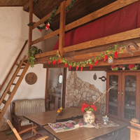 Casetta con 4.000mq di terreno a Zafferana Etnea