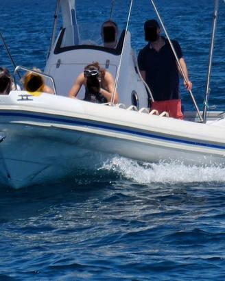 gommone DOMAR D 8
