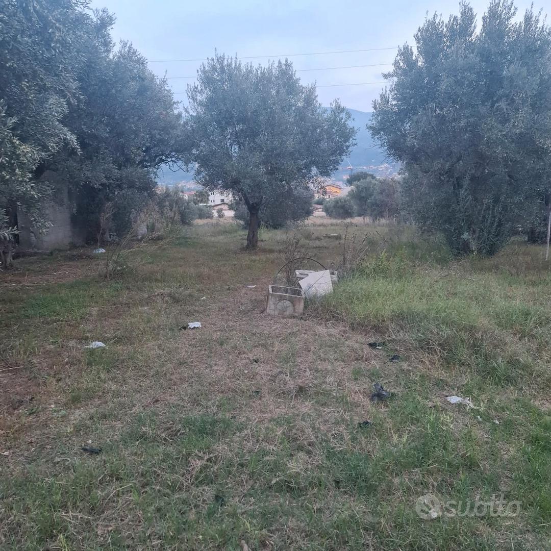 Vendita immobili - Vista 3
