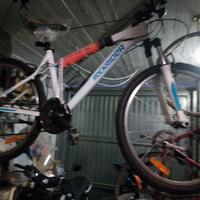 mutant bike ragazzo o ragazza