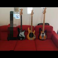 bassi elettrici Fender Precision, MusicmanStingray