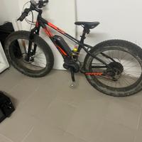 bicicletta elettrica 