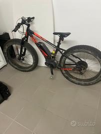 bicicletta elettrica 