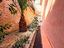 Immagine 19