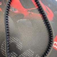 Cinghia trasmissione beverly 300