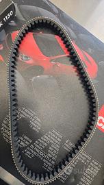 Cinghia trasmissione beverly 300