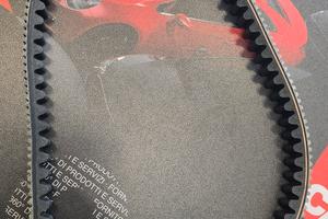 Cinghia trasmissione beverly 300