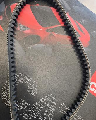 Cinghia trasmissione beverly 300