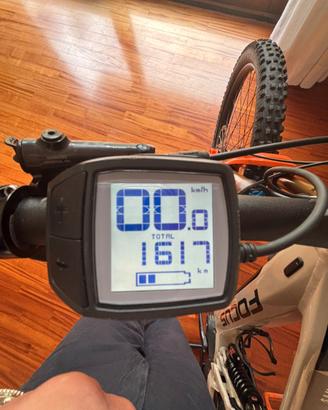 FOCUS SAM 2