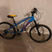 Bicicletta lombardo.prezzo trattabile