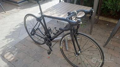 bicicletta da corsa in carbonio 
