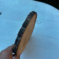 Rondelle ricavate da tronchi