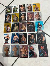 SmackDown VS RAW Lamincards