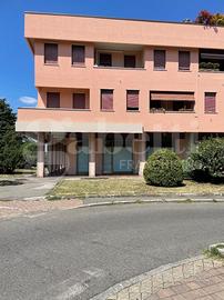 Negozio Cassano d'Adda [Cod. rif 3332608ACG]