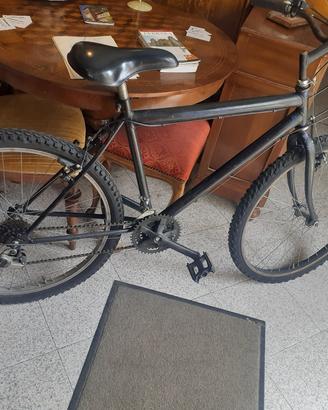 mountain bike