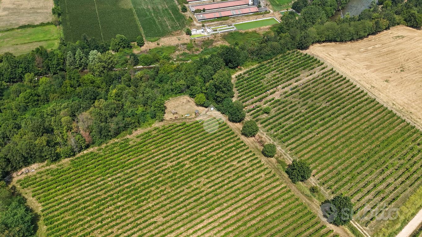 TER. AGRICOLO A CALVAGESE DELLA RIVIERA - Vista 5