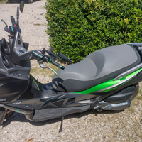 Kawasaki j 300