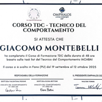 Educatore e/o aiuto compiti