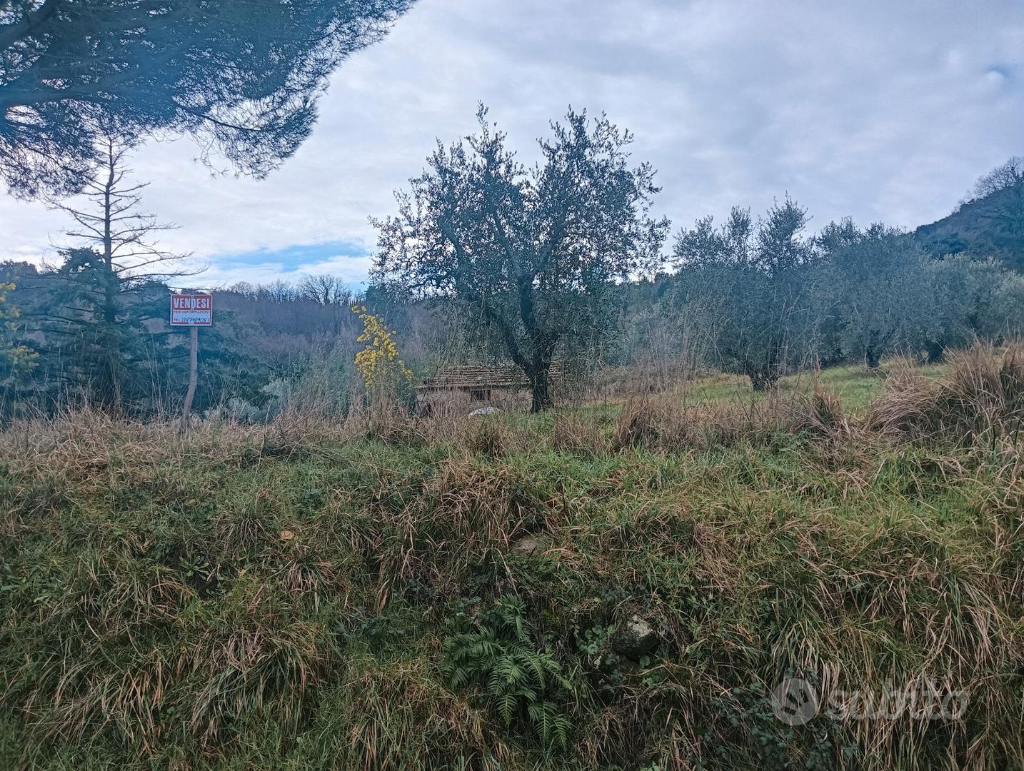 Vendita terreno - Vista 5