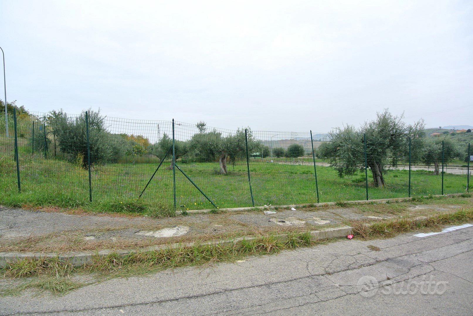TERRENO EDIFICABILE ARTIGIANALE - Vista 5