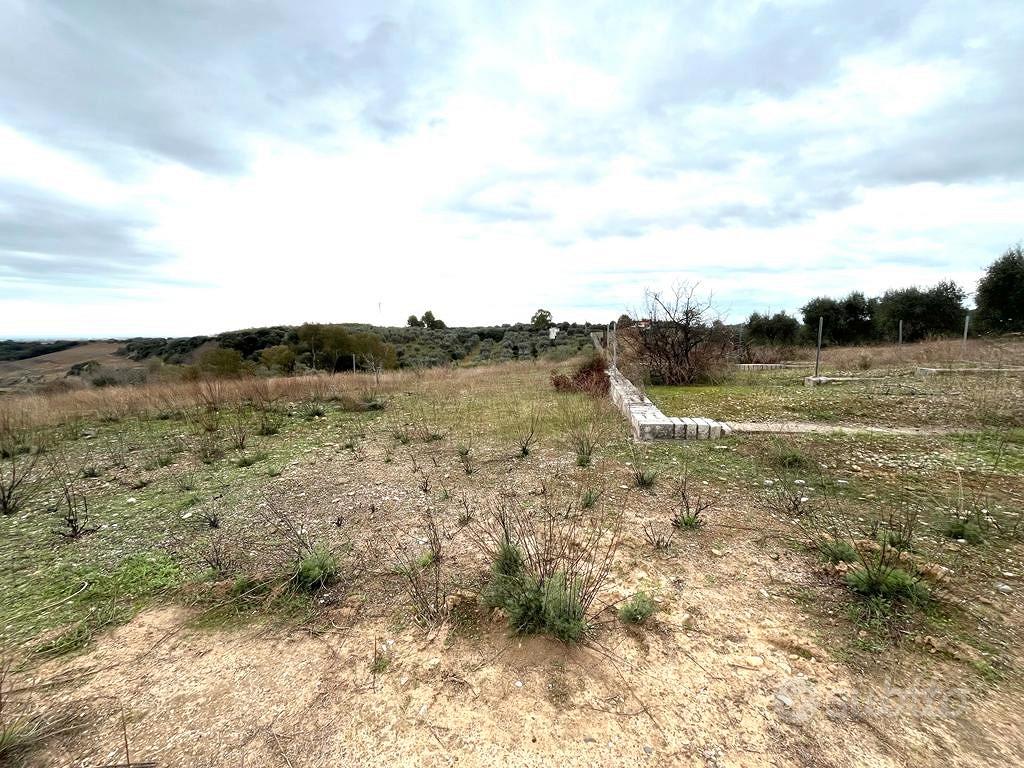 Lotto agricolo - Pisticci - Vista 4