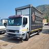 daf-lf-45-170-cassone-centinato-5-20