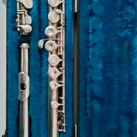 Flauto traverso Yamaha YFL 22S 