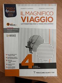 il magnifico viaggio 4