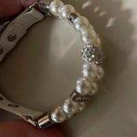 collare per cane o gatto