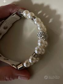 collare per cane o gatto