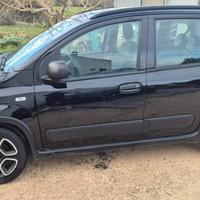 PANDA 1000 HYBRID 2021