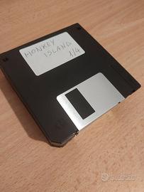 10 Floppy Disk Amiga Testati