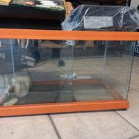 Deca x  rettili più lampada uv 