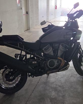 Harley Davidson Panamerica Special 2023