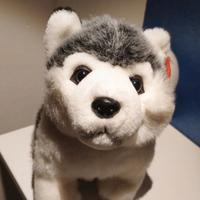 peluche husky 