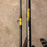 Black cat passion pro