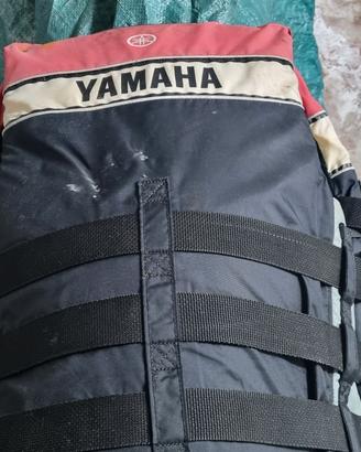 moto d'acqua 