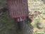 Immagine 3