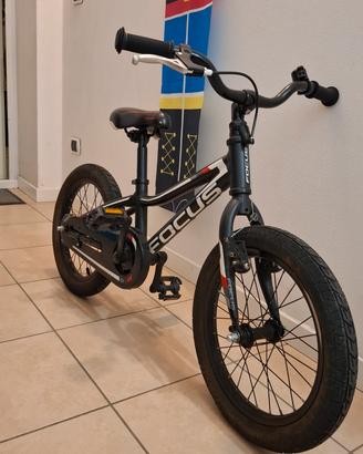 Bici Focus Bimbo T.16