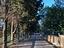Immagine 26